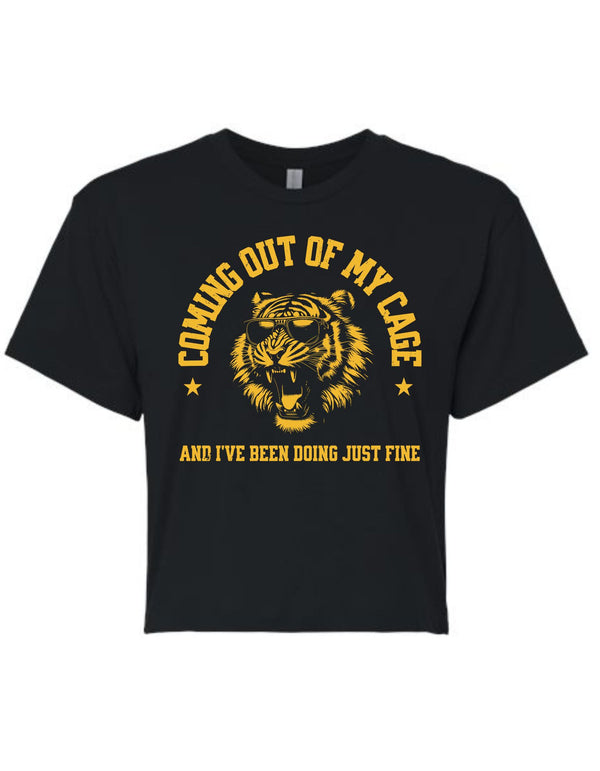 Coming Out Of My Cage